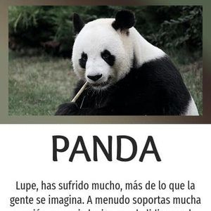 Meet your Posher, Lupe